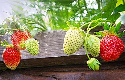 真格斗，不废话！《赦免者》8月12日登陆WeGame